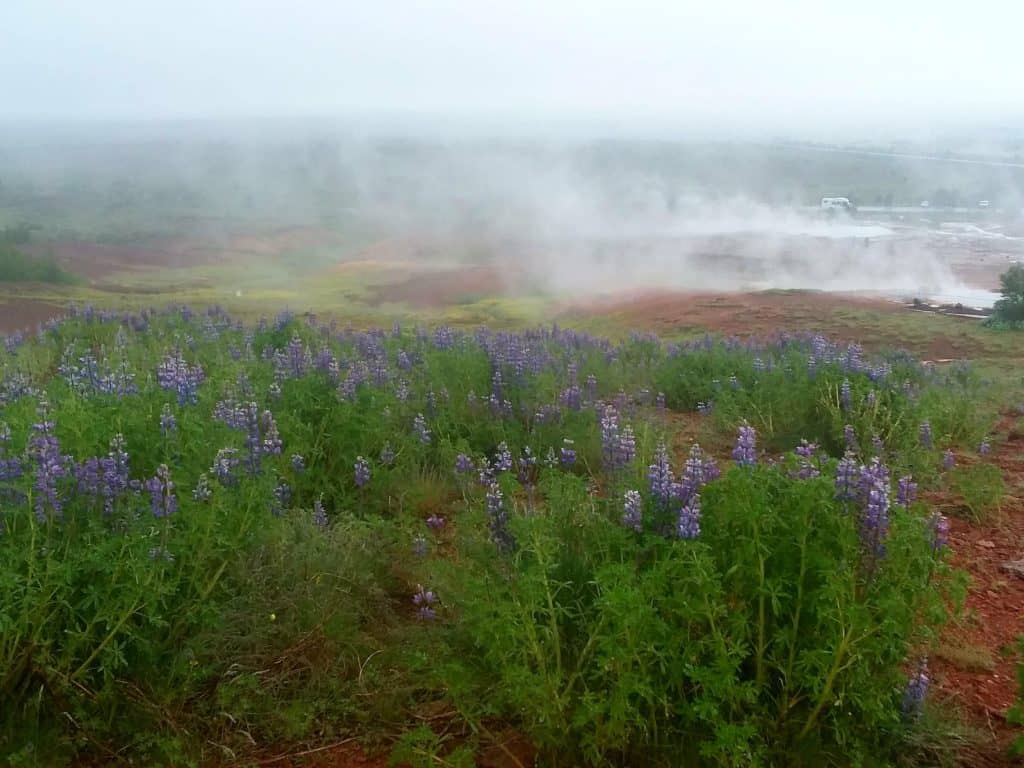 Geyser Geothermal Area is one of the best places to see in south Iceland