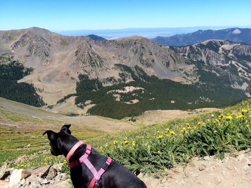 Wheeler Peak is one of the best hikes in northern New Mexico