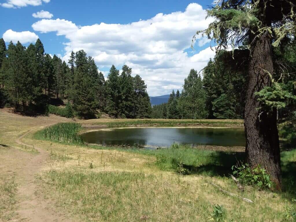 Small pond on the Elliott Barker trail
