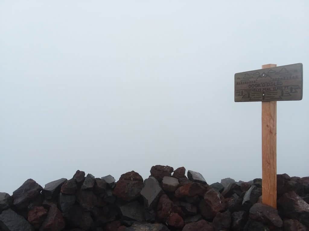 Views from the foggy summit of the highest point in Arizona on the Humphrey's Peak Trail!