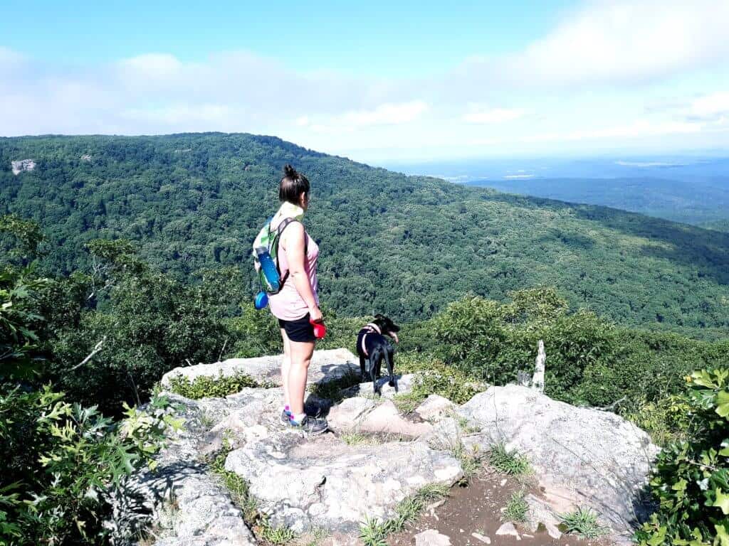 Hiking with dogs on Mt. Magazine, Arkansas