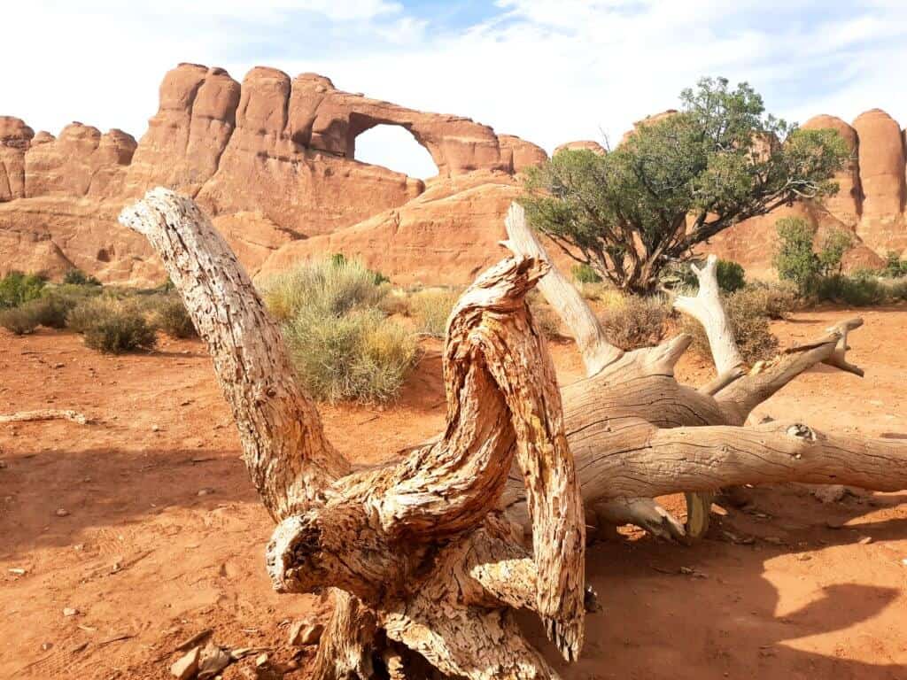One of the most beautifully simple of Arches National Park hikes is Delicate Arch