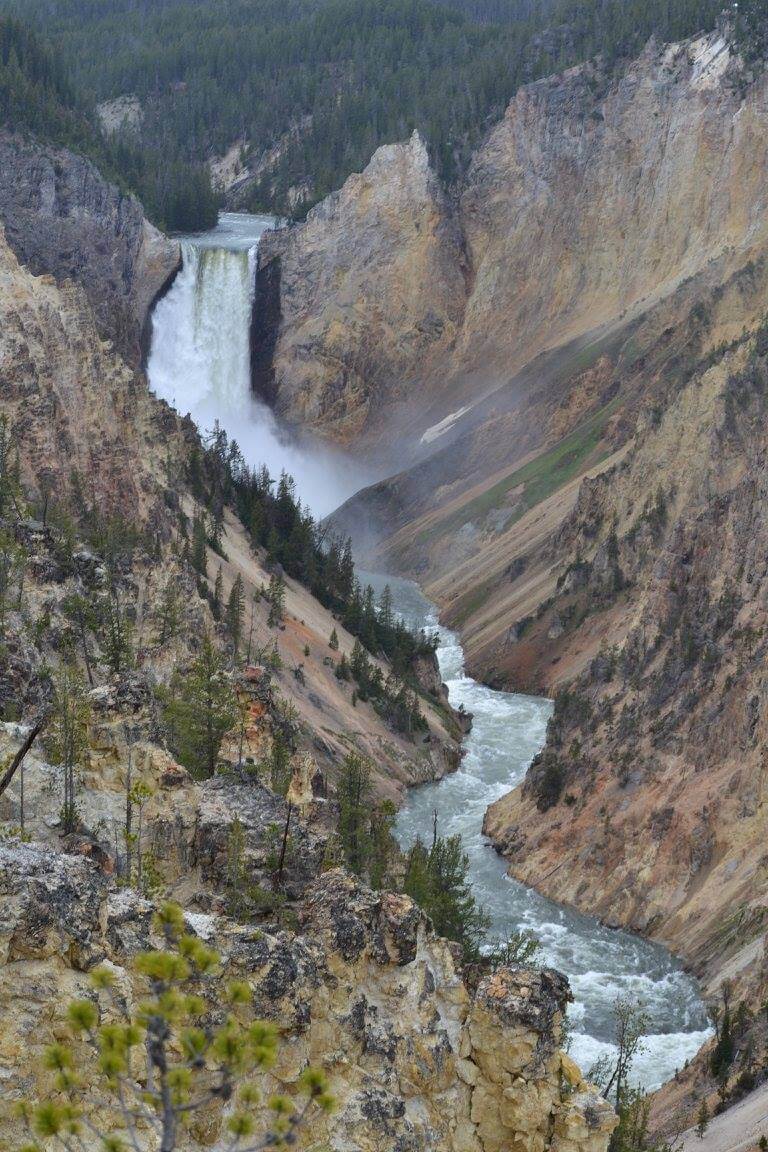 The 15 Best Easy Hikes in Yellowstone National Park