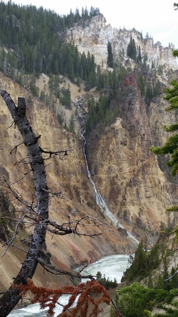Views along the Grand Canyon of Yellowstone