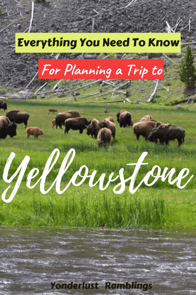Planning a trip to Yellowstone, including where to fly into for Yellowstone