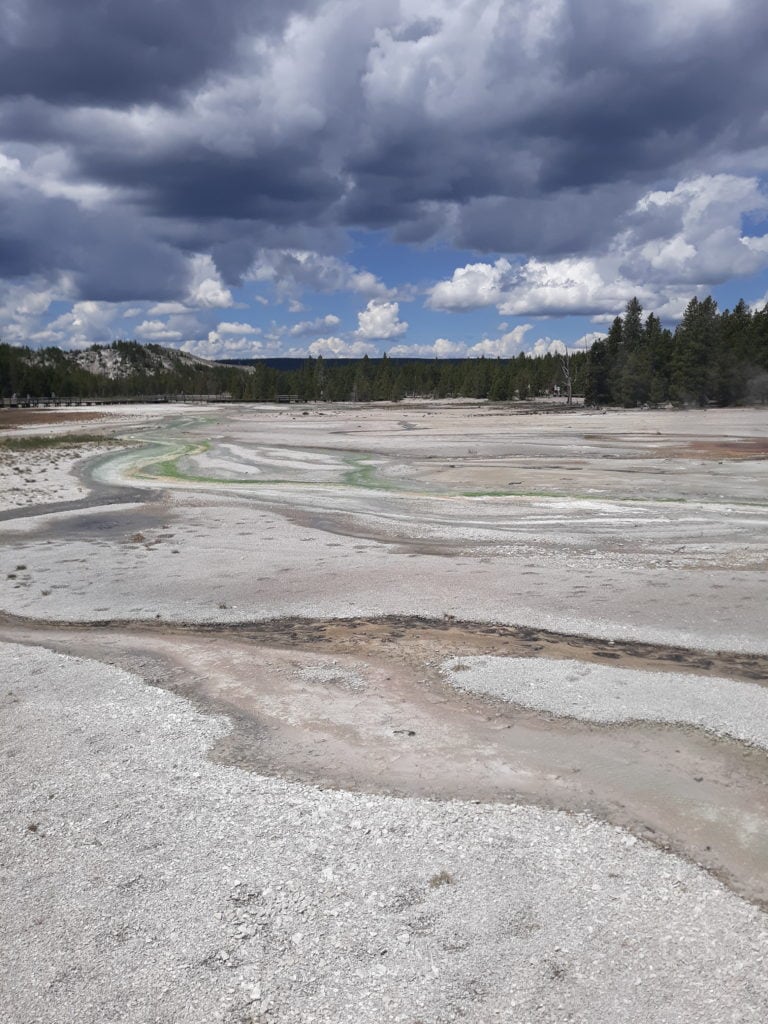 The Norris Geyser Basin in Yellowstone National Park