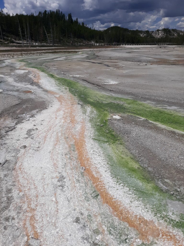 Colors of the Norris Geyser Basin in Yellowstone National Park