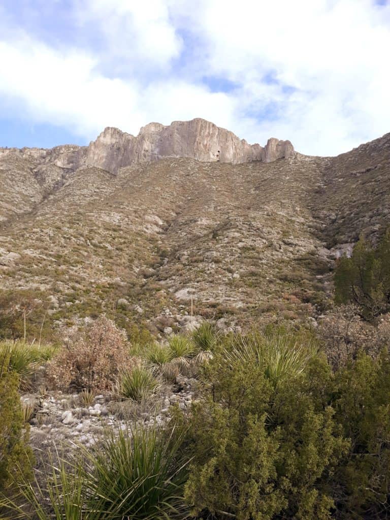 Views surrounding the Pinery Nature Trail in Guadalupe Mountains National Park