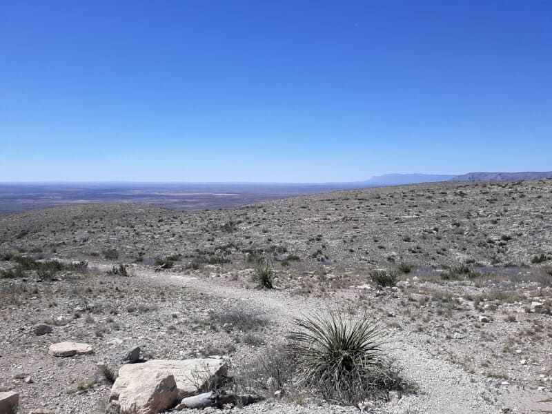 Above ground scenery of the Chihuahuan Desert at Carlsbad Caverns National Park