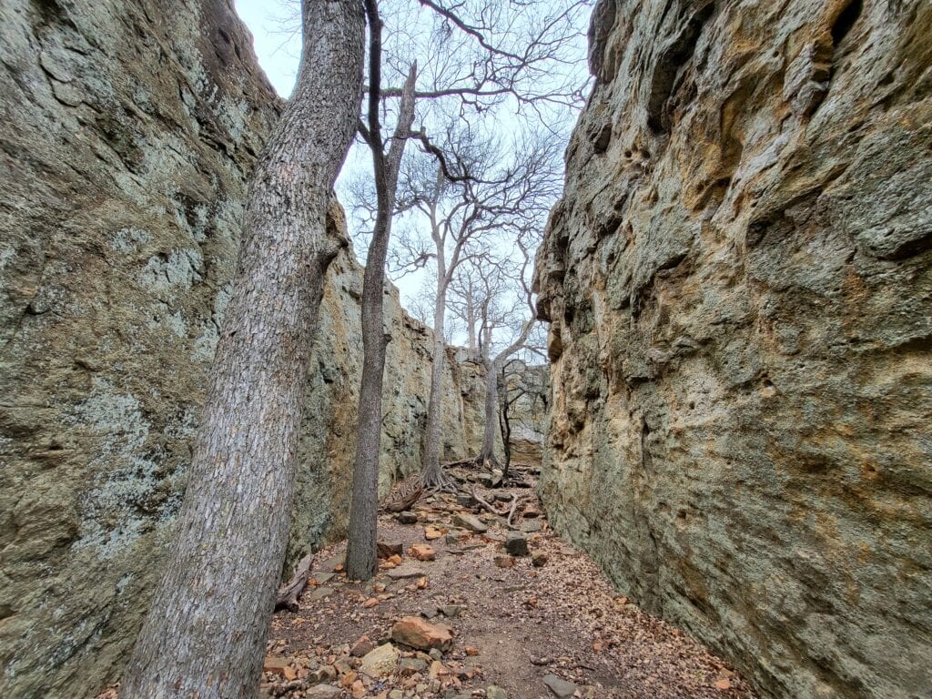 Exploring Penitentiary Hollow at Lake Mineral Wells State Park
