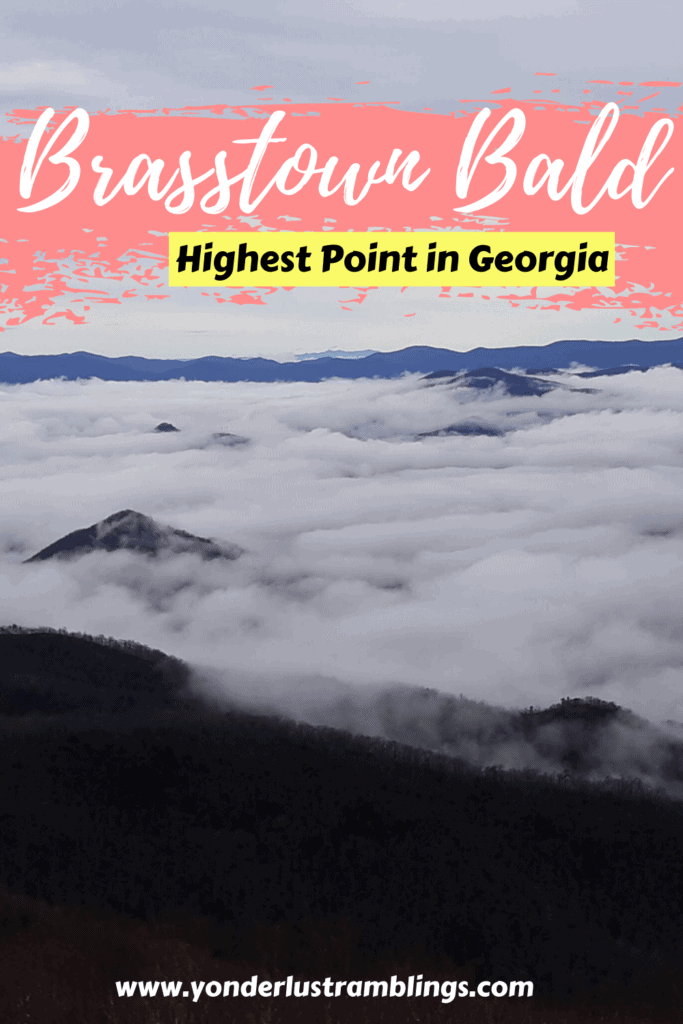Hiking the highest point in Georgia