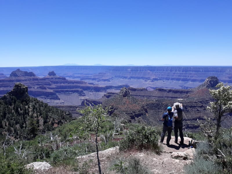 Looking out over the Grand Canyon rim on the Widforss Trail