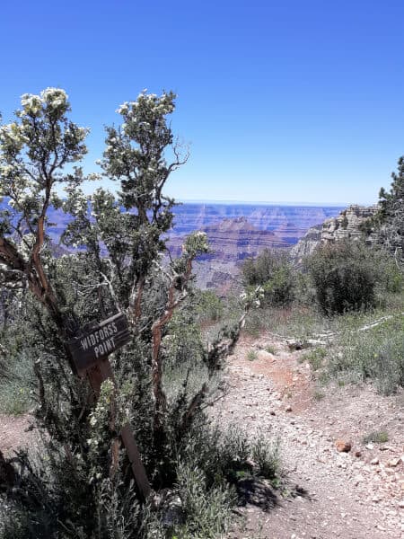 The termination of the Widforss Trail, Widforss Point, at the North Grand Canyon