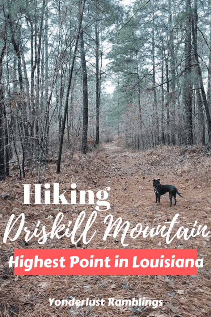 Hiking Driskill Mountain, the highest point in Louisiana