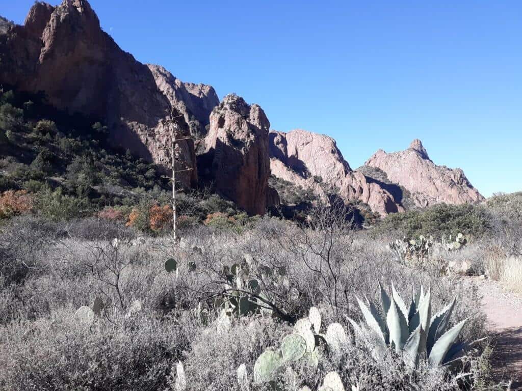 Hiking the Window Trail in the Chisos Mountains