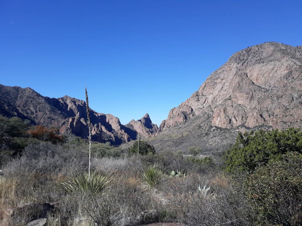 The stunning landscape surrounding the best of Big Bend hikes