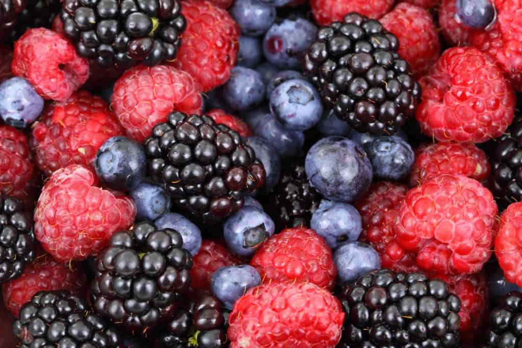 Fruits and vegetables make up the best diet for runners