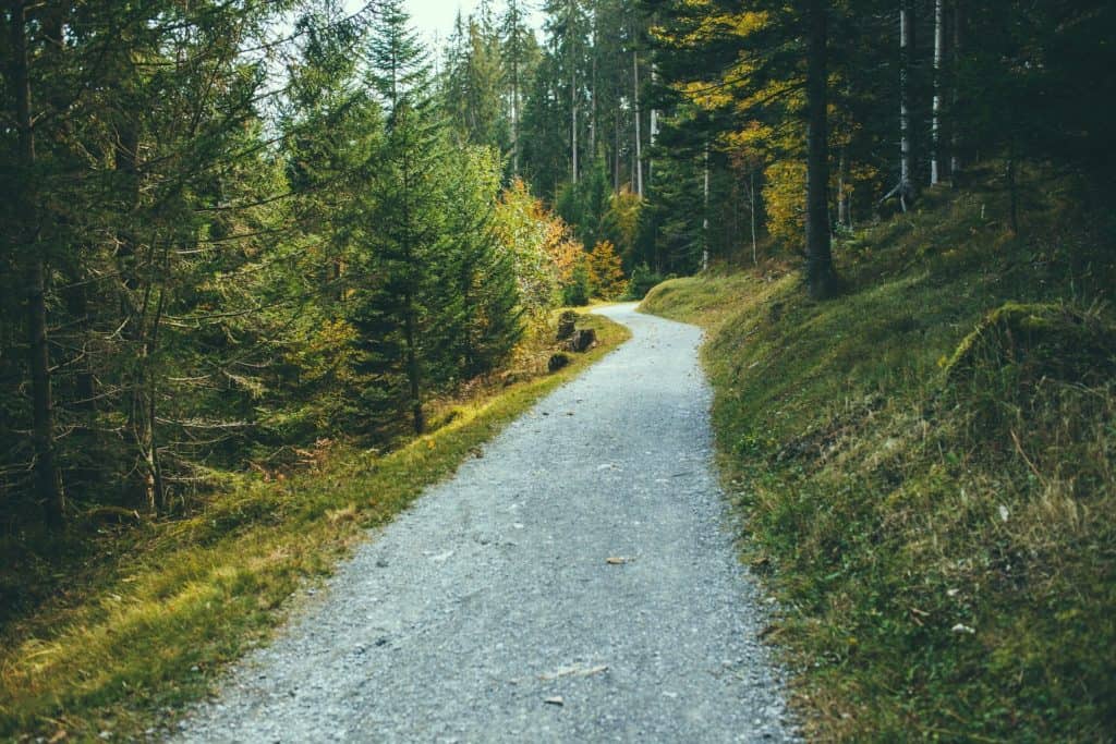 Beginner hiking training plan