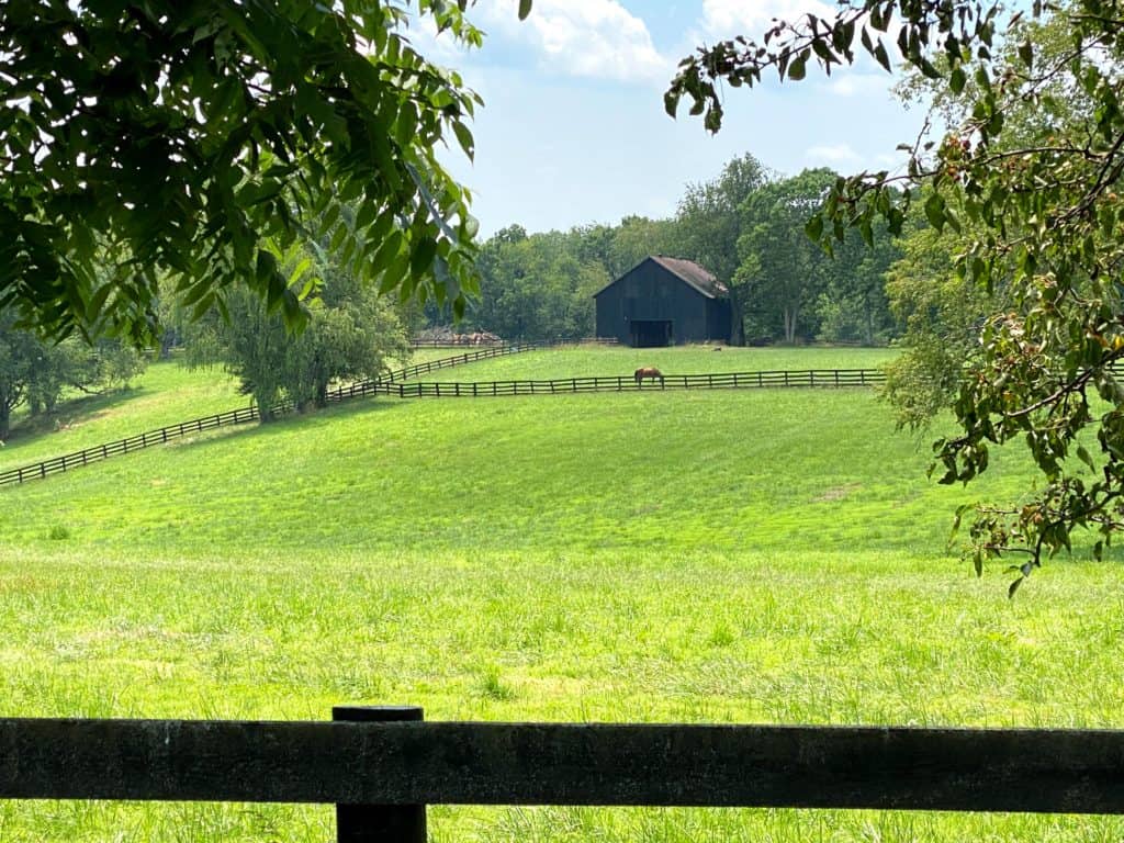 Kentucky pastures