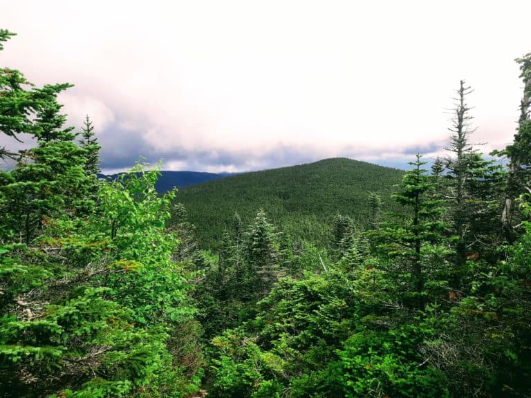 Hiking Mount Marcy New York: The Highest Point in New York