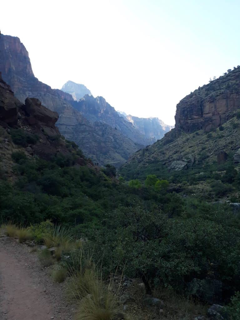 Surprisingly spots of green at the bottom of the canyon on the North Kaibab Trail
