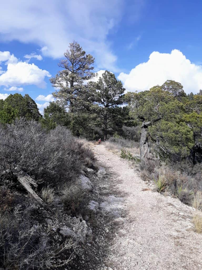 Hiking in Guadalupe Mountains National Park