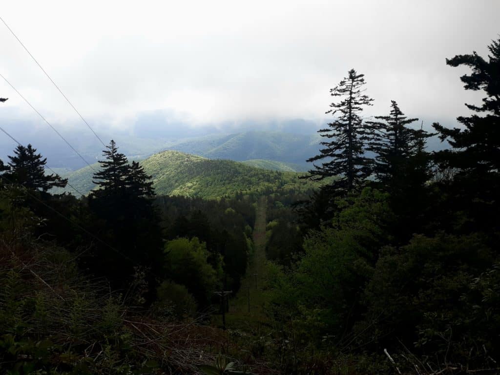 A brief break in the canopy on Mount Mitchell NC