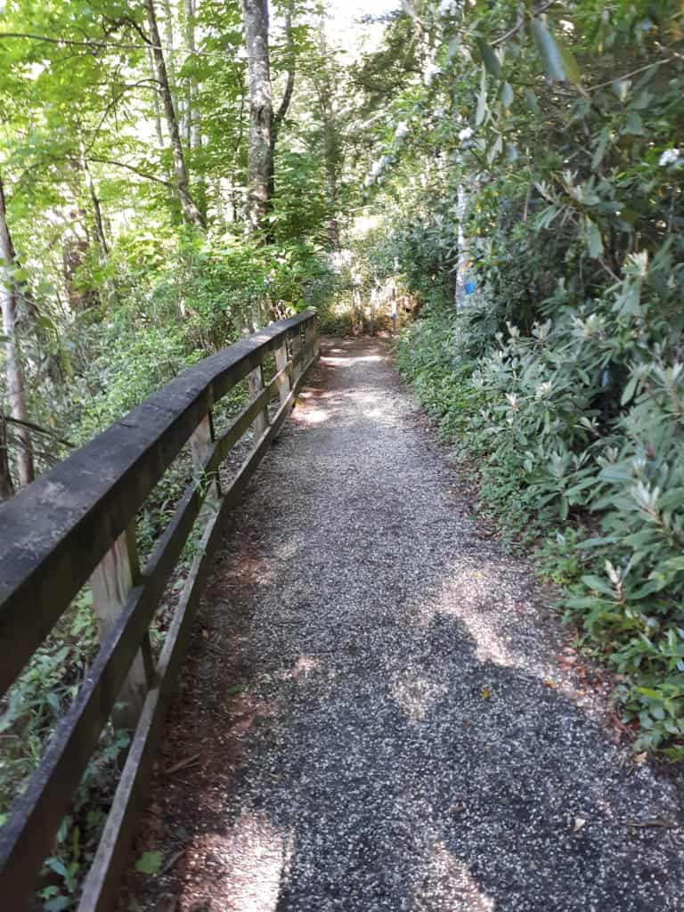 The beginning of the Mount Mitchell Trail, following the railing and paralleling the stream to the left
