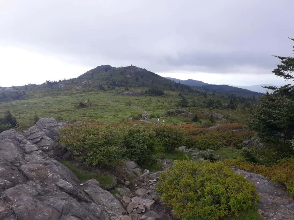 Hiking Mt. Rogers Virginia the Highest Point in Virginia