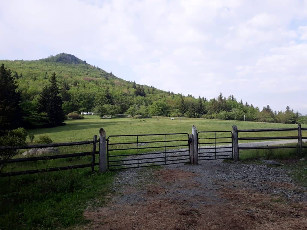 The clearing and fenceline at the entrance to the Appalachian Trail and the Mt. Rogers hike