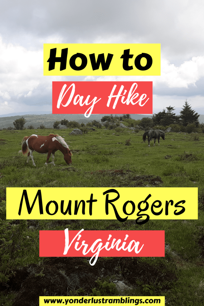 Hiking Mount Rogers