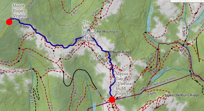 Mt. Rogers Topo Map