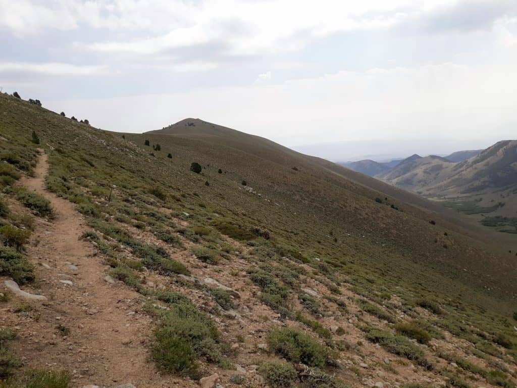 The middle section of the Boundary Peak Trail