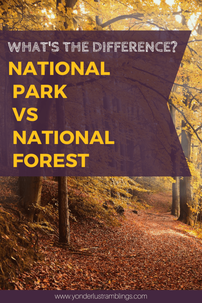 The difference between a National Park vs National Forest