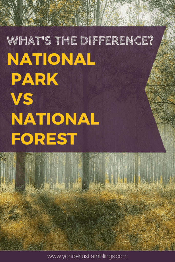 National Parks vs National Forests