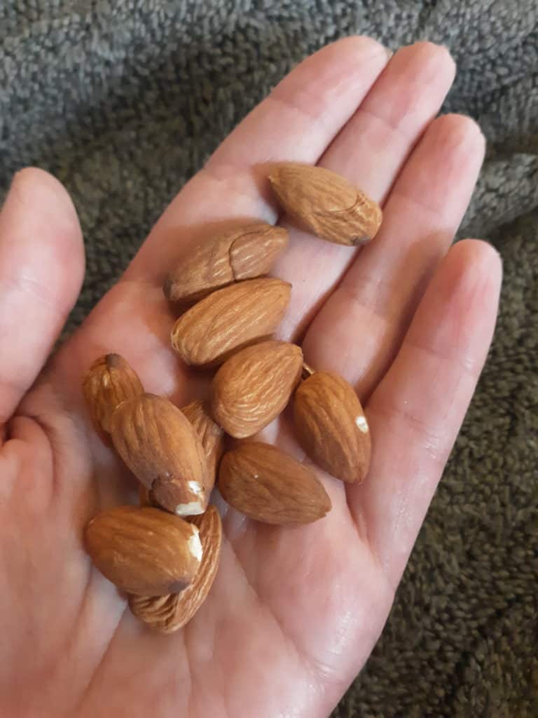 Almonds are a great backpacking snack