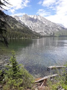 Complete Guide to Jenny Lake in Grand Teton National Park - Yonderlust ...