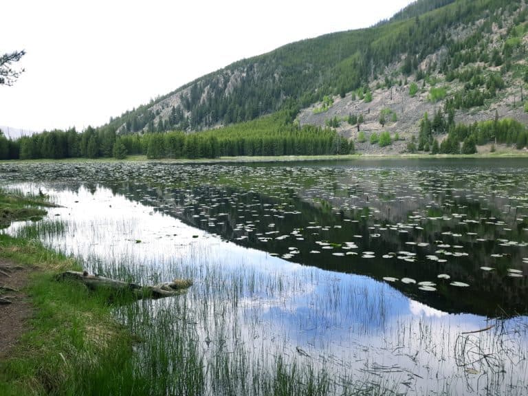 Guide to the Harlequin Lake Trail in Yellowstone National Park