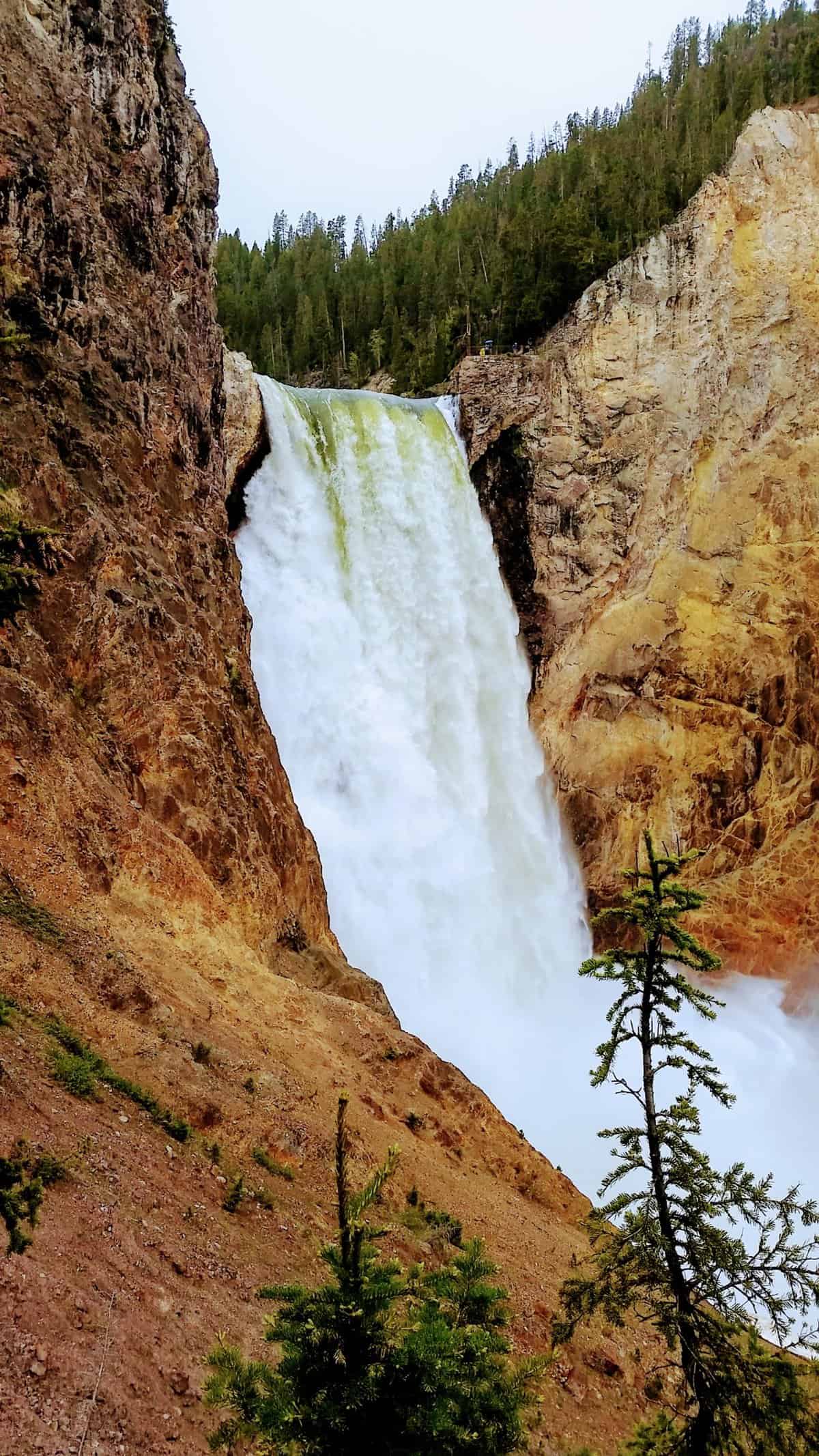 The Falls in Yellowstone National Park