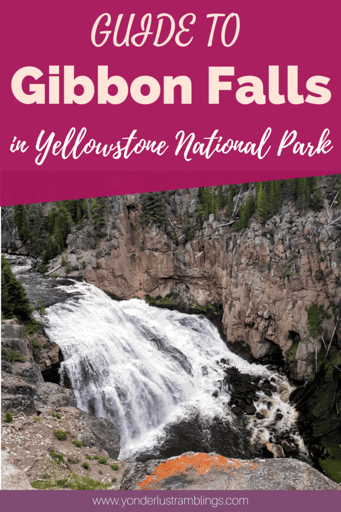 The Gibbon Falls Trail in Yellowstone National Park