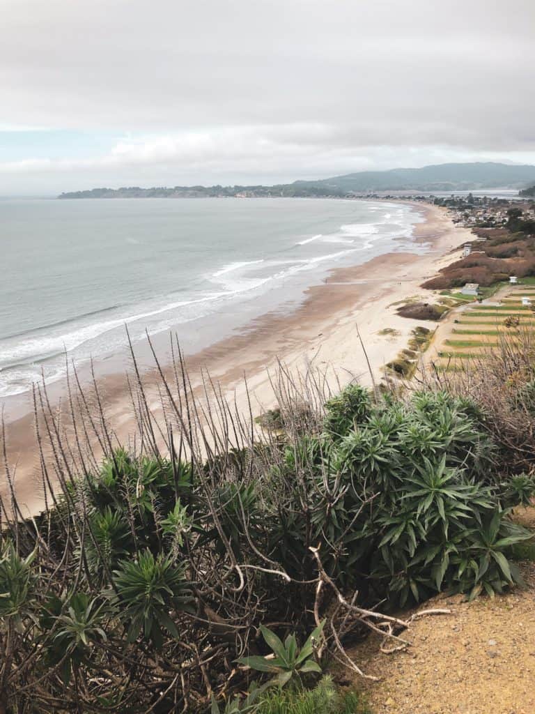 Stinson Beach is home to one of the best trail running races in the US