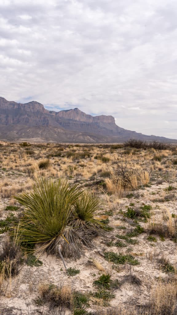 The Salt Basin Dunes Trail in Guadalupe Mountains National Park