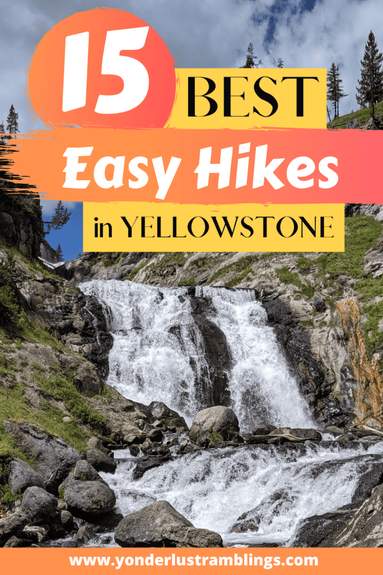 The 15 Best Easy Hikes in Yellowstone National Park