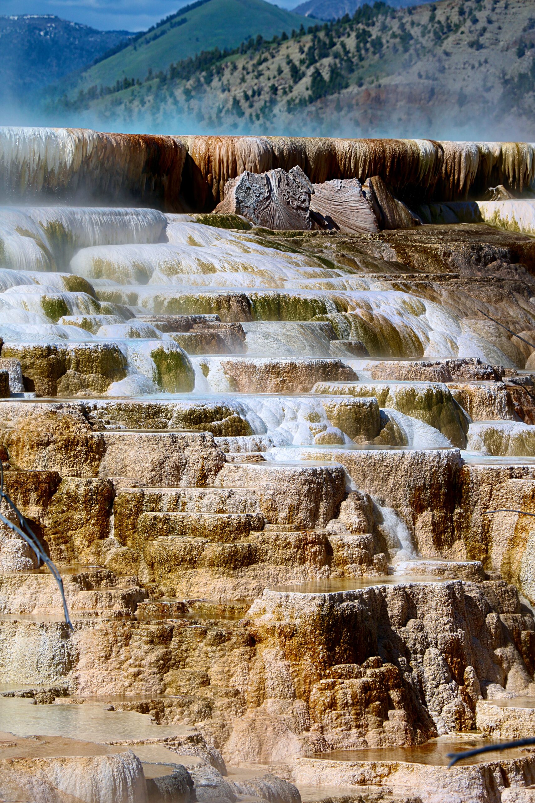 The 15 Best Easy Hikes in Yellowstone National Park