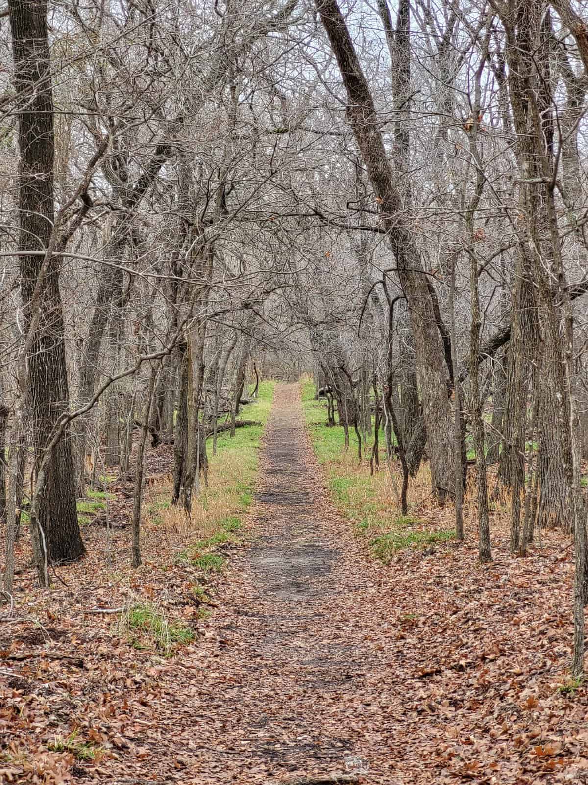 The Crosstimbers Trail at the Fort Worth Nature Center