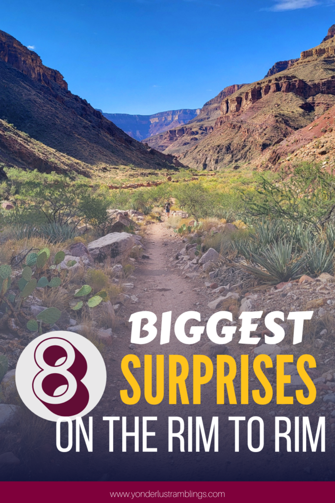Biggest surprises on a Rim to Rim hike in the Grand Canyon